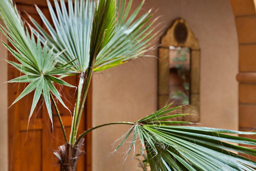 Riad Chbanate Suvayr Dış mekan fotoğraf